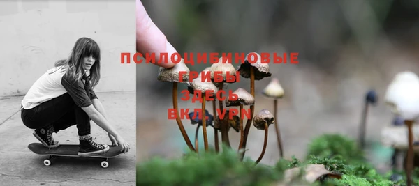 PSILOCYBIN Армянск