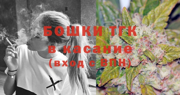 ПСИЛОЦИБИНОВЫЕ ГРИБЫ Арсеньев