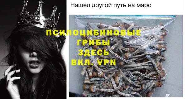 PSILOCYBIN Аркадак