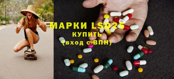 PSILOCYBIN Аркадак
