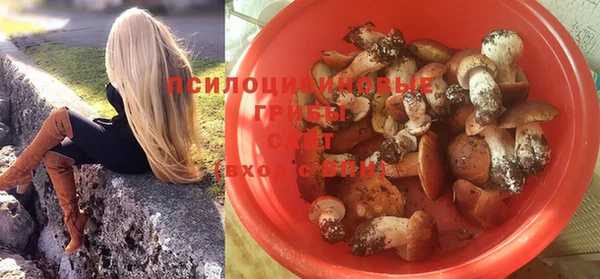 ПСИЛОЦИБИНОВЫЕ ГРИБЫ Арсеньев
