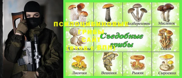 PSILOCYBIN Армянск