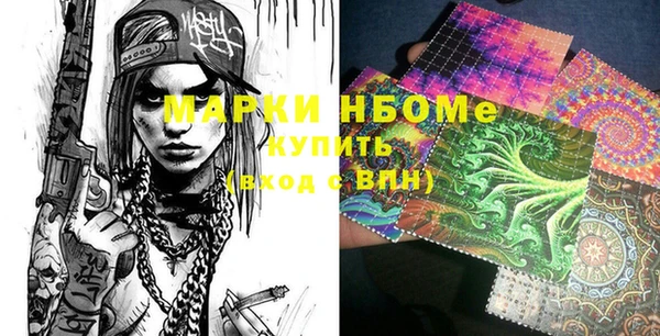 ПСИЛОЦИБИНОВЫЕ ГРИБЫ Арсеньев