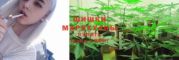 PSILOCYBIN Аркадак